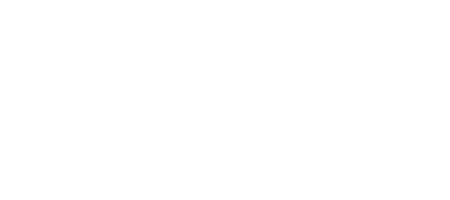 visonic